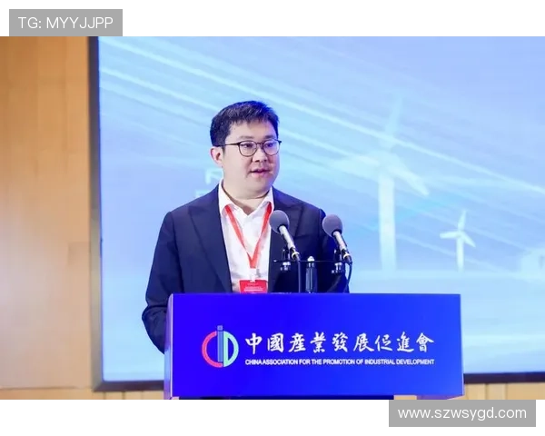 中外企业家创新精神与全球经济高质量可持续发展深远影响深入探讨